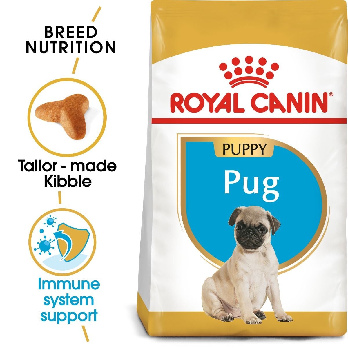 Nutrition for Pug Puppies Under 10 Months Royal Canin